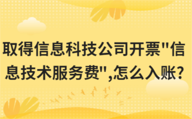 取得信息技术服务费发票（商务信息服务）的入账处理指南